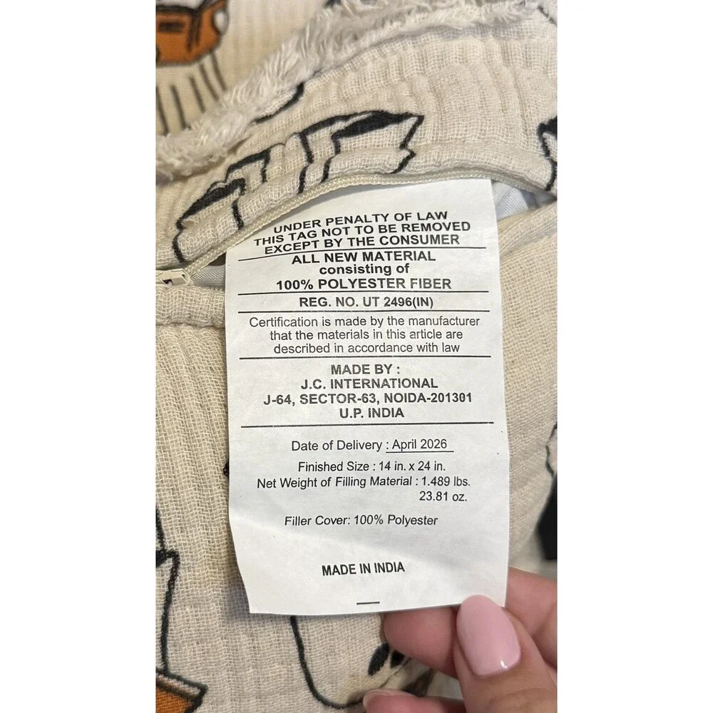🔥 NWT Viral Rachel Zoe Ghost Reading Book 🔥 Halloween Throw Pillows - Set Of 2